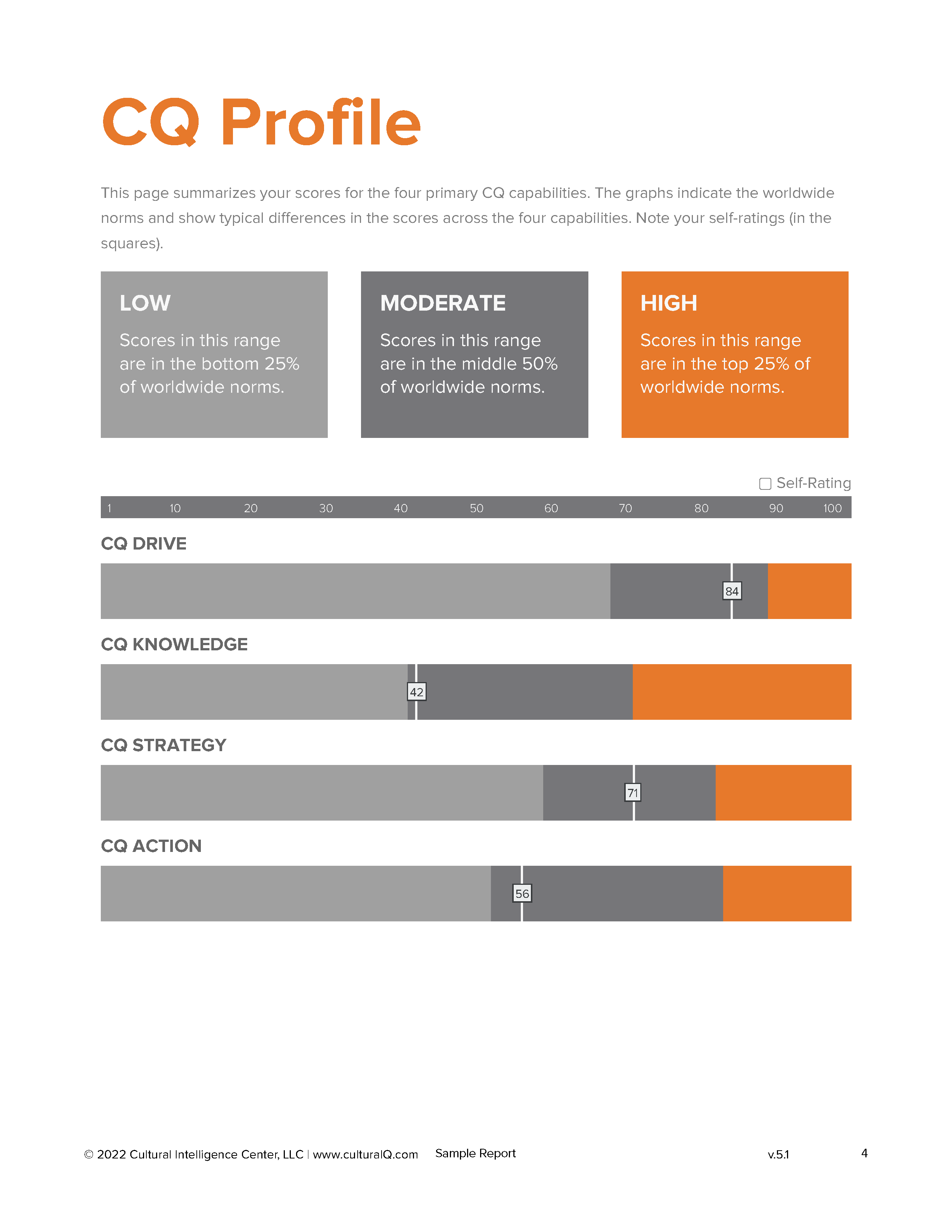 CQ Pro Feedback Report_v.5.1_Page_04