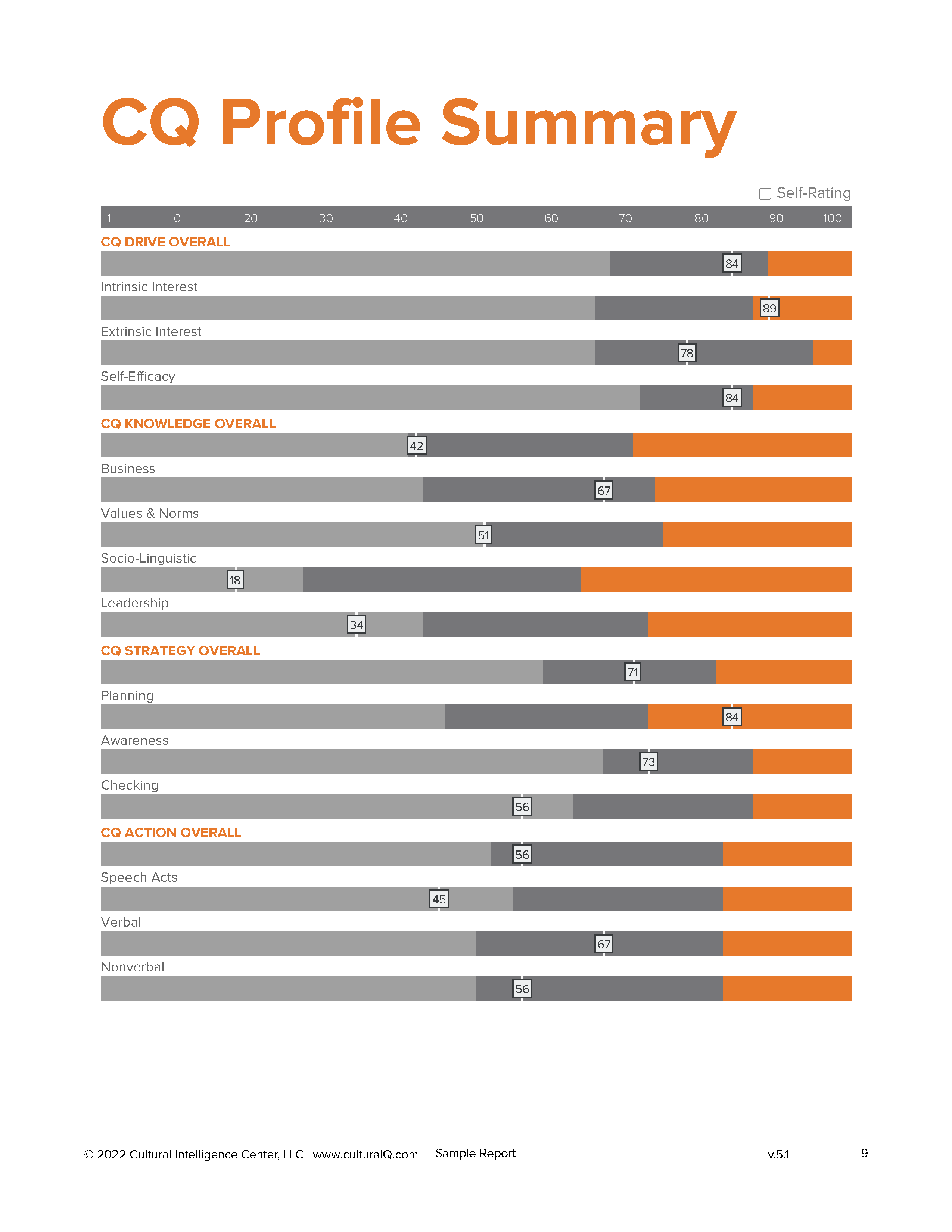 CQ Pro Feedback Report_v.5.1_Page_09